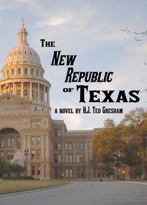 Cover of the book The New Republic of Texas by R.M. Lagman