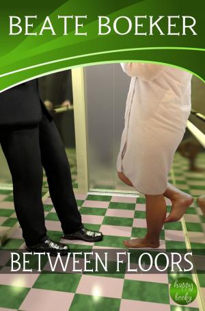 Cover of the book Between Floors by Beate Boeker