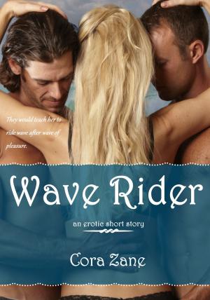 Book cover of Wave Rider