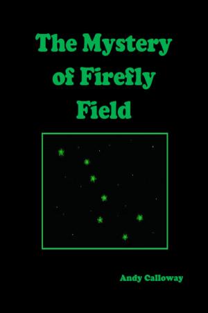 bigCover of the book The Mystery of Firefly Field by 