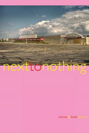 Cover of the book Next to Nothing: Stories by Steve Berman