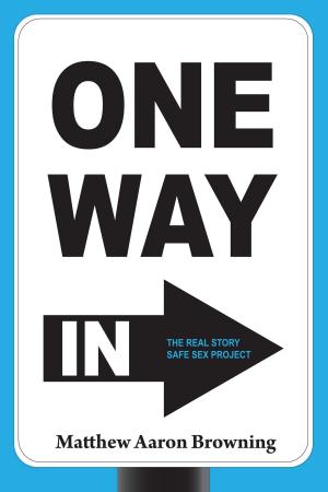 Cover of the book One Way In by SJ Bradley