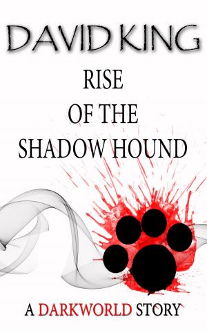 Cover of the book Rise Of The Shadow Hound by Stephen Andrew Salamon