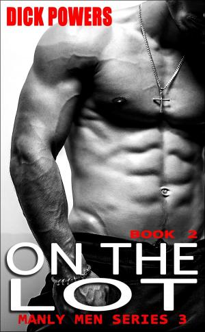 Cover of the book On The Lot (Manly Men Series 3, Book 2) by Sophie Sin