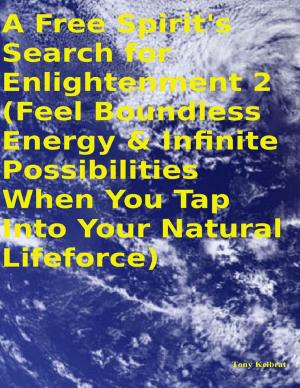 Book cover of A Free Spirit's Search for Enlightenment 2: (Feel Boundless Energy & Infinite Possibilities When You Tap Into Your Natural Lifeforce)