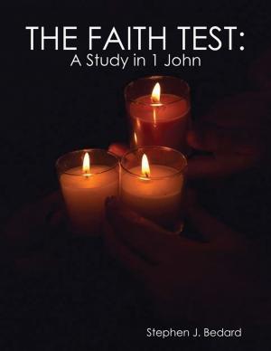 Cover of the book The Faith Test by R Smith