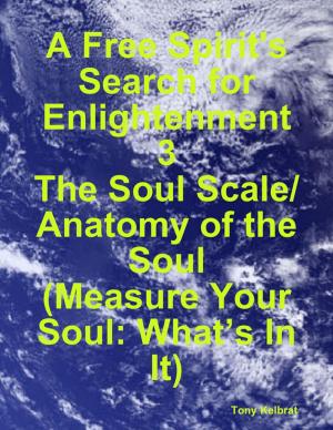 Book cover of A Free Spirit's Search for Enlightenment 3: The Soul Scale/ Anatomy of the Soul (Measure Your Soul: What’s In It)