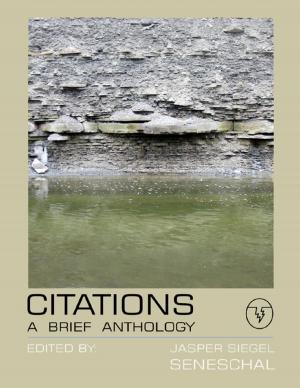 Cover of the book Citations: A Brief Anthology by Isa Adam