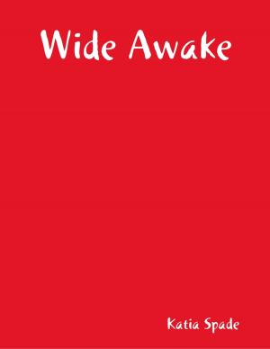 Cover of the book Wide Awake by Alex Youssefi