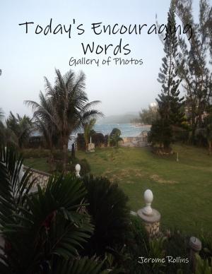 Cover of the book Today's Encouraging Words: Gallery of Photos by MGInternet Publishing