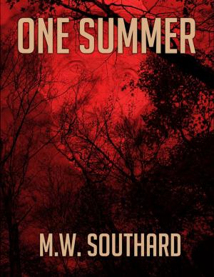 Cover of the book One Summer - Ebook by Jim White