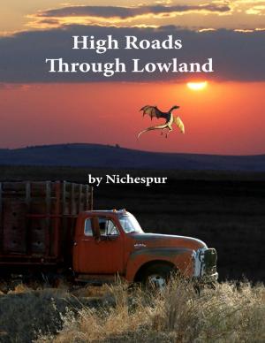 Cover of the book High Roads Through Lowland by Richard Rider, John T. Fuller