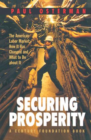 Cover of the book Securing Prosperity by John Y. Campbell, Andrew W. Lo, A. Craig MacKinlay