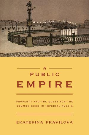 Cover of the book A Public Empire by Sean Farhang