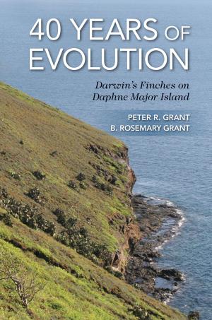 Cover of the book 40 Years of Evolution by Paul J. Nahin