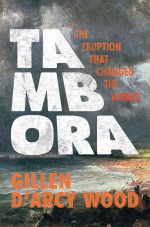 Cover of the book Tambora by Carlo Natali