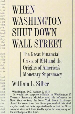 Cover of the book When Washington Shut Down Wall Street by David Randall