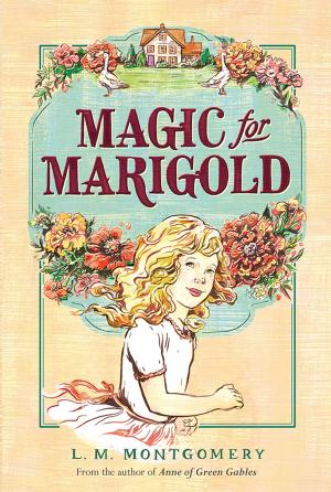 bigCover of the book Magic for Marigold by 