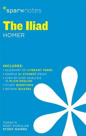Cover of the book The Iliad SparkNotes Literature Guide by Edward Peterson