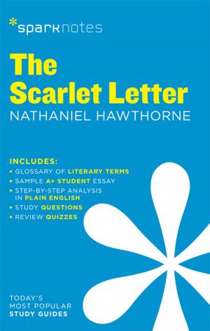 Cover of The Scarlet Letter SparkNotes Literature Guide