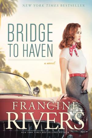 Book cover of Bridge to Haven