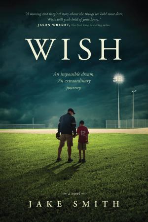 Cover of the book Wish by Hayley DiMarco, Michael DiMarco