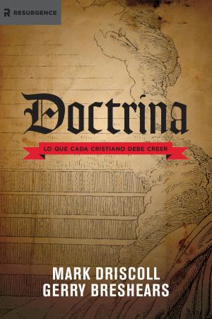 Cover of the book Doctrina by Matthew Barnett