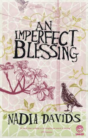 Cover of the book An Imperfect Blessing by Najma Dharani