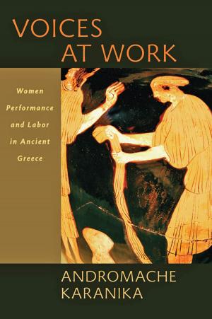 Cover of the book Voices at Work by Lisa Wolf-Wendel, Susan B. Twombly, Suzanne Rice