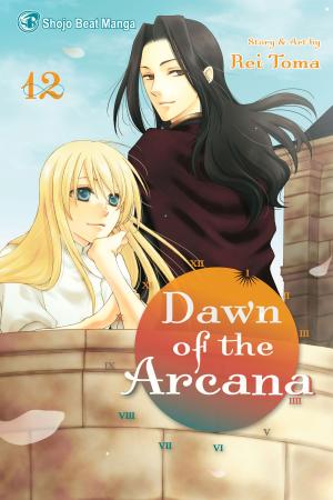 Cover of the book Dawn of the Arcana, Vol. 12 by Arina Tanemura