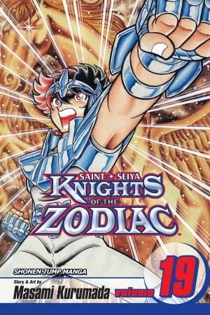 Cover of the book Knights of the Zodiac (Saint Seiya), Vol. 19 by Derek Fridolfs, Liz Prince
