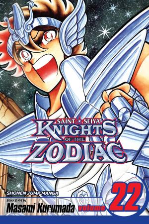 Cover of the book Knights of the Zodiac (Saint Seiya), Vol. 22 by Kazune Kawahara