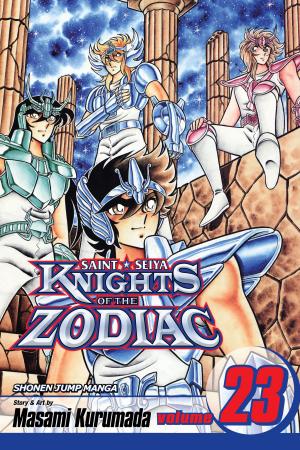 Cover of the book Knights of the Zodiac (Saint Seiya), Vol. 23 by Hidenori Kusaka