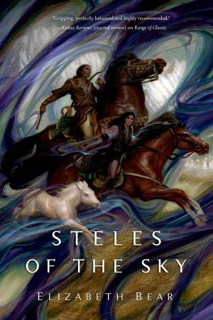 Cover of the book Steles of the Sky by Dean Ing, Barrett Tillman