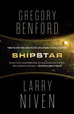 Book cover of Shipstar
