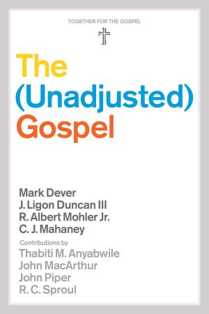 Cover of the book The Unadjusted Gospel by Philip Graham Ryken