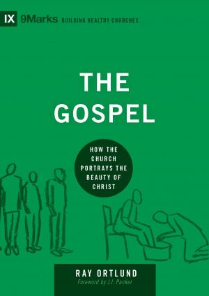 Cover of the book The Gospel by Christopher Ash