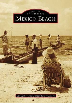 Cover of the book Mexico Beach by Marta V. Martínez