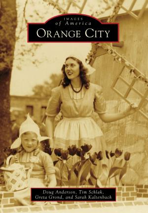 Cover of the book Orange City by Josef Woodman