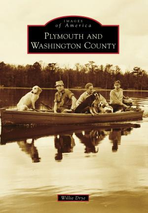Cover of the book Plymouth and Washington County by David Healey