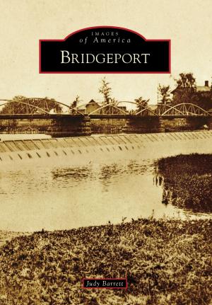 Cover of the book Bridgeport by Dr. Gene Atkinson