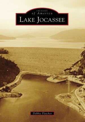 Cover of the book Lake Jocassee by Gary R. Mitchell, Forest Lee Chaney