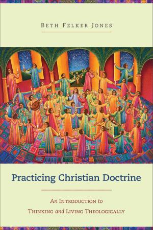 Cover of the book Practicing Christian Doctrine by Beverly Lewis