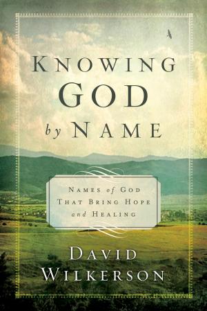 Cover of the book Knowing God by Name by Ed Butchart