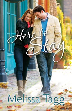 Cover of the book Here to Stay (Where Love Begins Book #2) by Elizabeth Ludwig