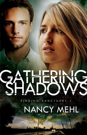Cover of the book Gathering Shadows (Finding Sanctuary Book #1) by Tina Zahn, Wanda Lee Dyson
