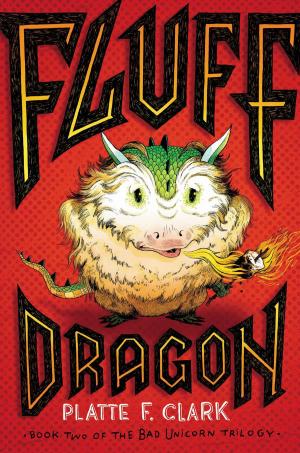 Cover of the book Fluff Dragon by John Christopher