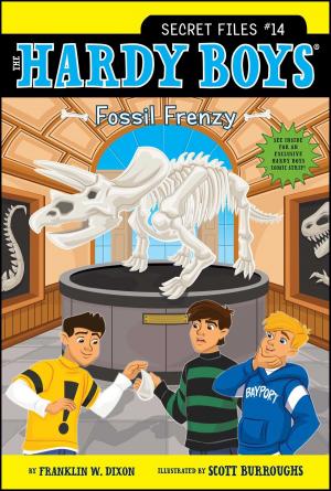 Cover of the book Fossil Frenzy by Robert Quackenbush