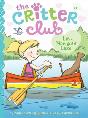 Cover of the book Liz at Marigold Lake by Ray O'Ryan