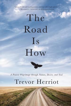 Cover of the book The Road Is How by J.R. Thornton